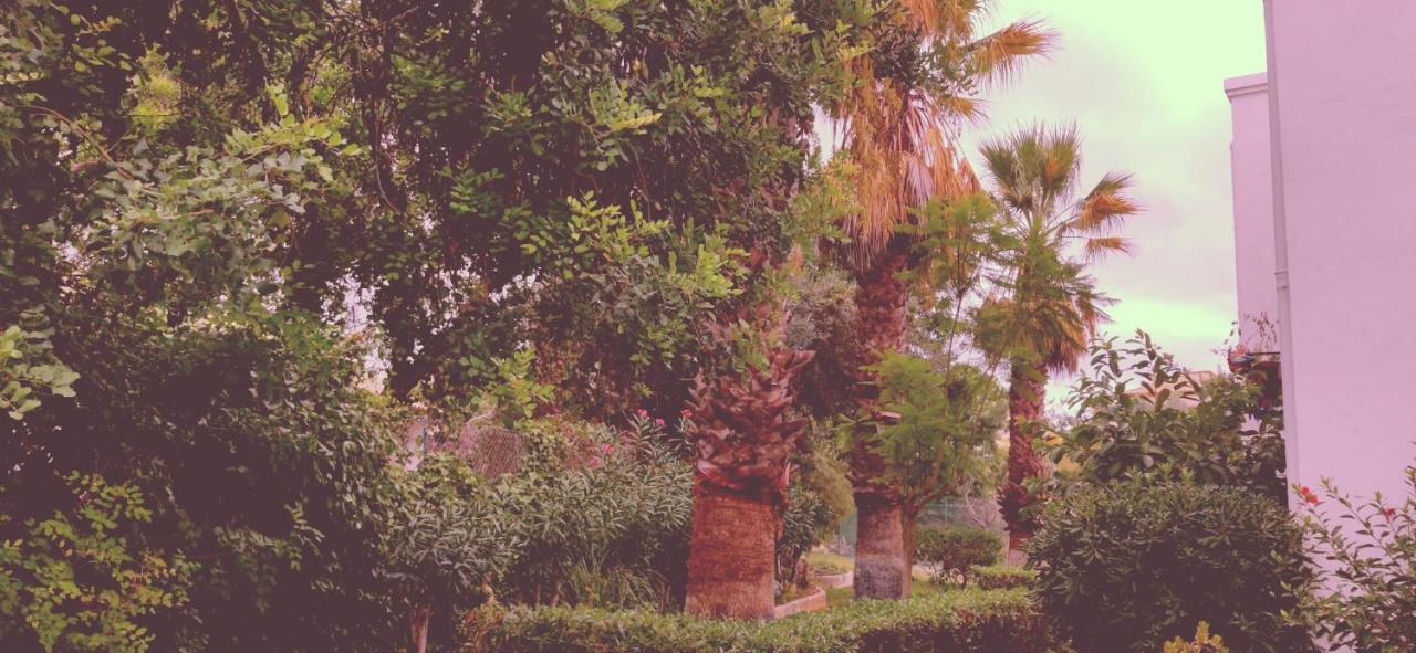 Cantinho Azul - Tavira Garden Экстерьер фото