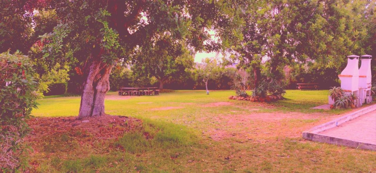 Cantinho Azul - Tavira Garden Экстерьер фото